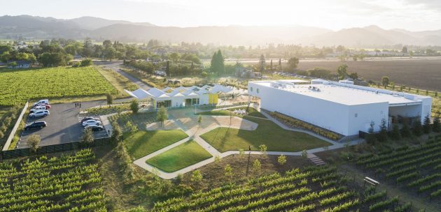 Ashes & Diamonds Winery by CREO