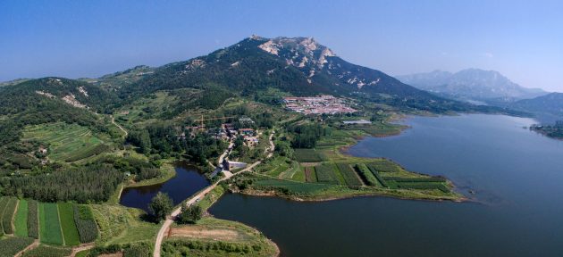 Regeneration of Phoenix Village