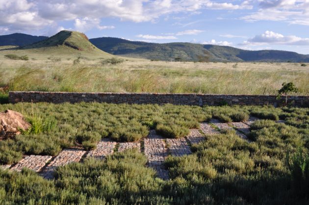 Ollie House by The Landscape Studio