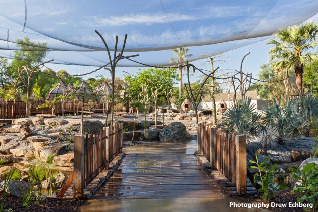 Rainforest Entry Experience and Lemurs Exhibit by Urban Initiatives