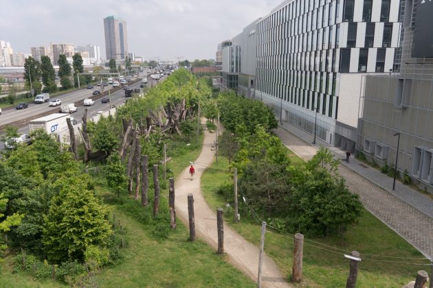 The Linear Forest by arpentère
