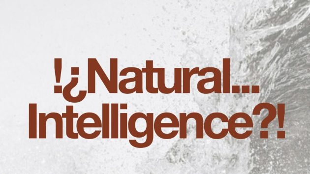 17-21 November / 13th Barcelona International Landscape Biennial