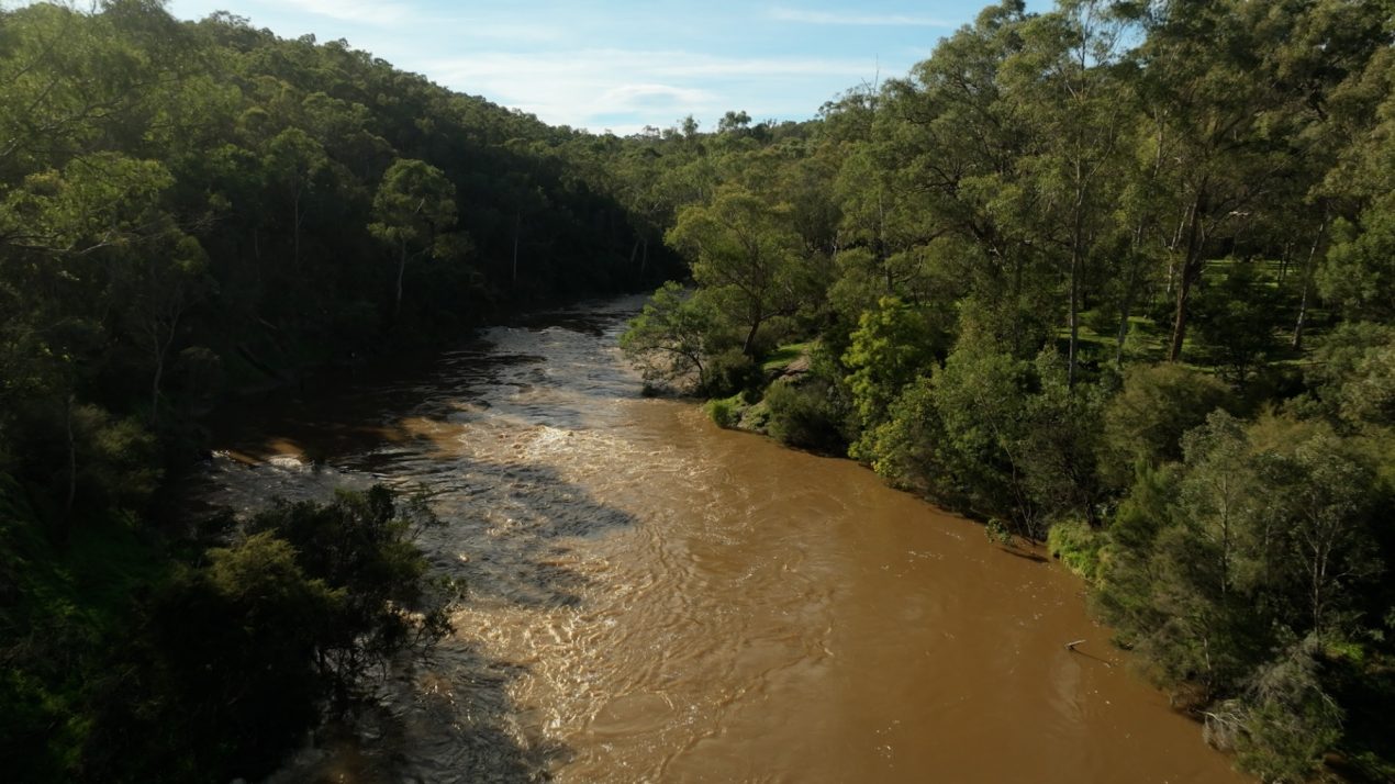 Futures of the River by Landscape Architects: Reimagining Birrarung