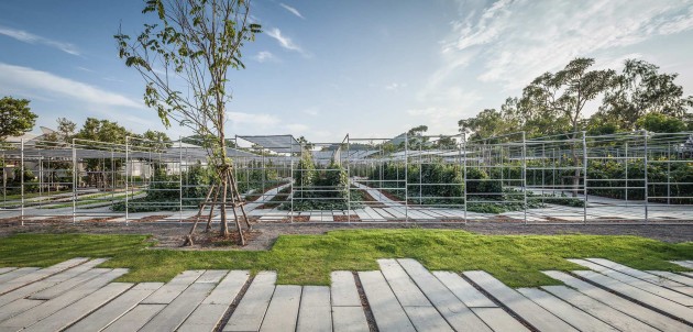 Coro Field by IF Integrated Field