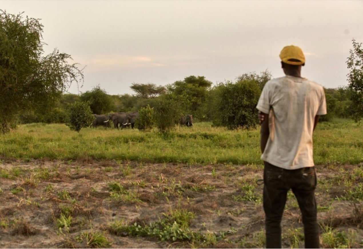 Landscapism in Nature Conservation