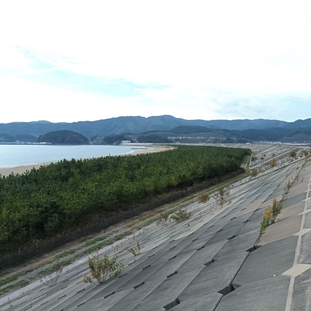 Disaster Preventive Parks: Japan’s Coastal Forests