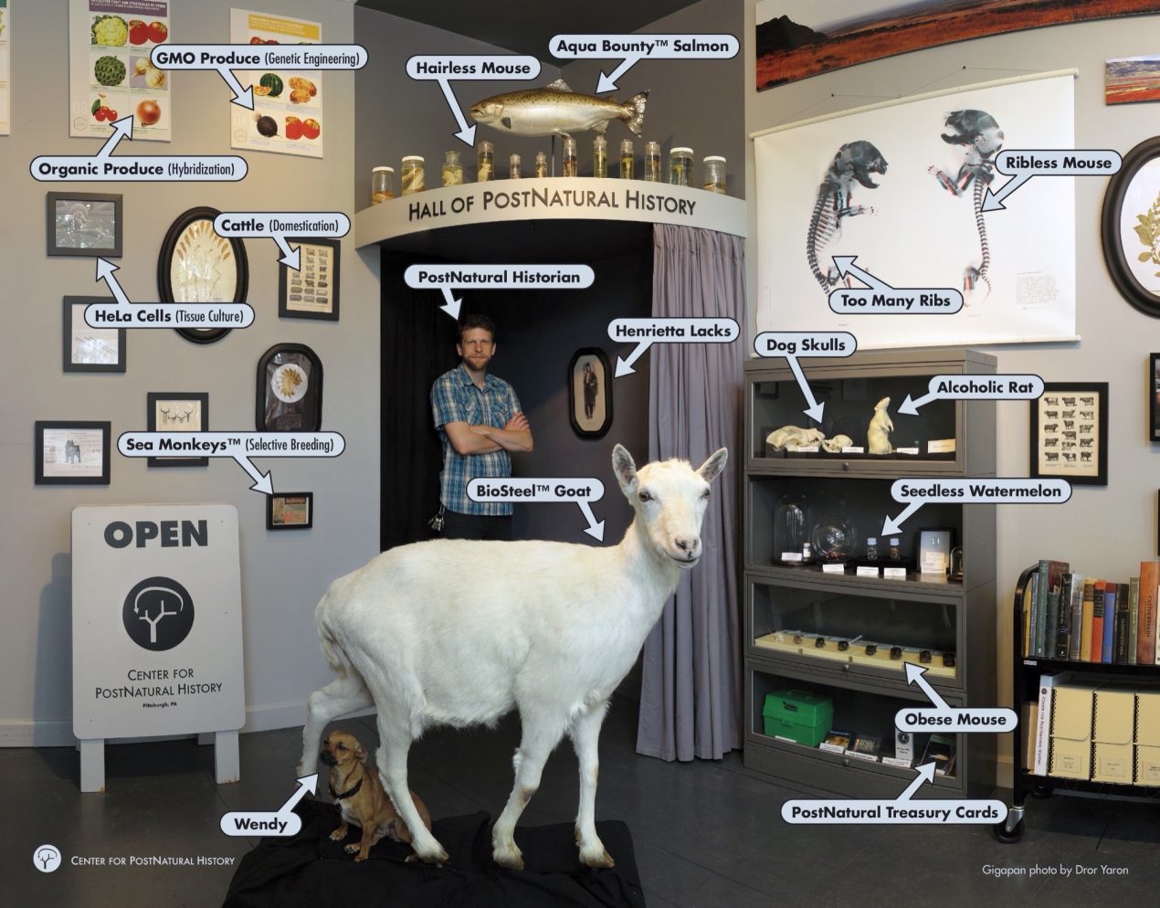 Culture of Artifacts: PostNatural by Richard Pell