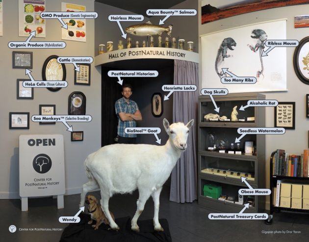 Culture of Artifacts: PostNatural by Richard Pell