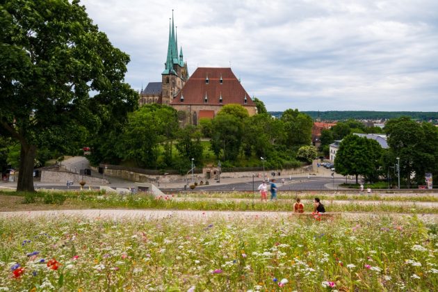 Panoramic Walk Petersberghang by FRL