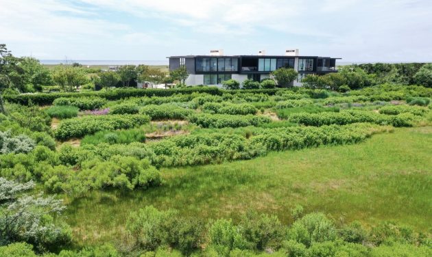 Dune Meadow by LaGuardia Design Group