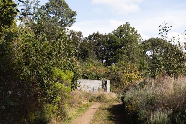 The Meadow by Estudio Ome