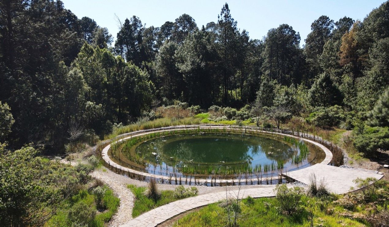 Circles, Disks and Rings