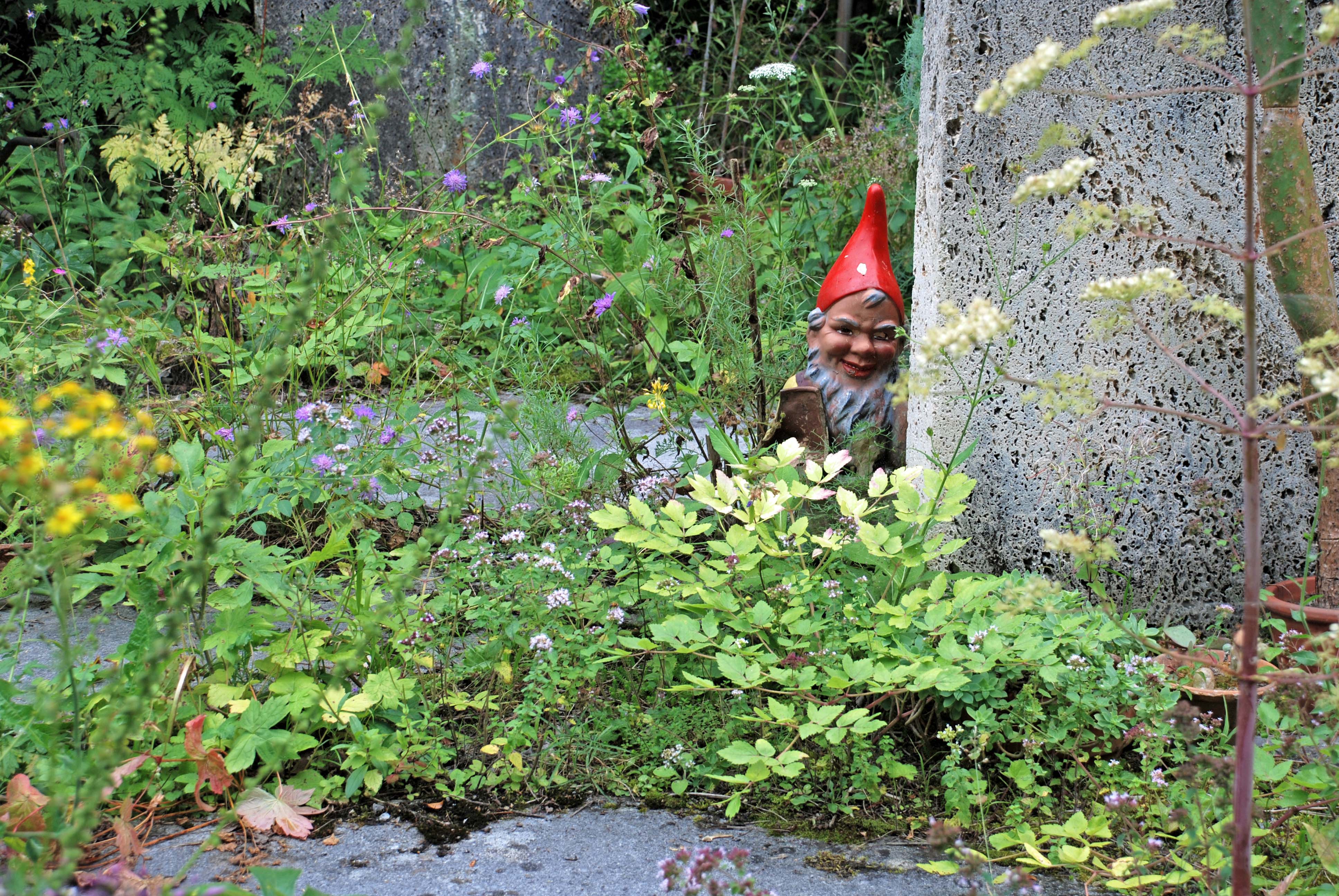 Future Garden Master’s Program