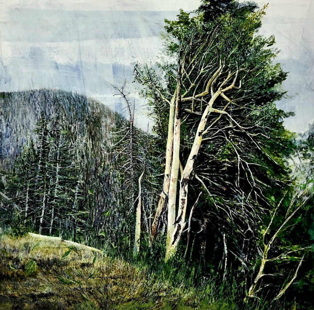 On Trees and Beasts, or How Ideas of Nature Shape Our Spaces