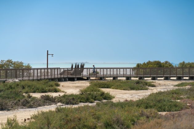 Hudayriyat Mar Vista Sports Village + Walk of Life by Cracknell