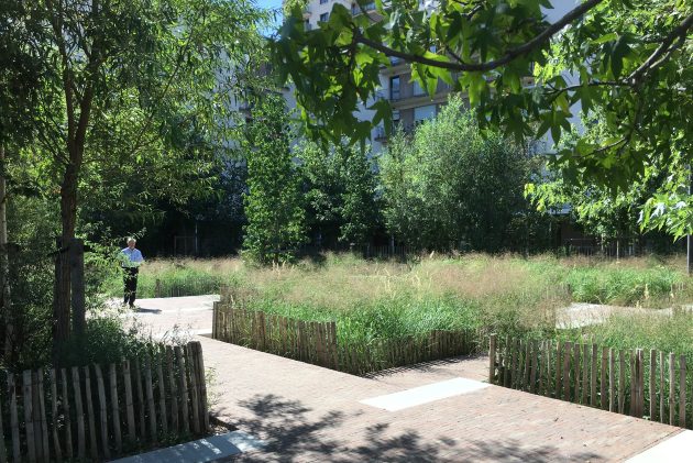 The Meadow in the Garden Square by PRAXYS