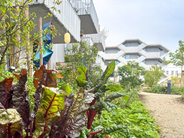 HoneycombHouse by Uniola