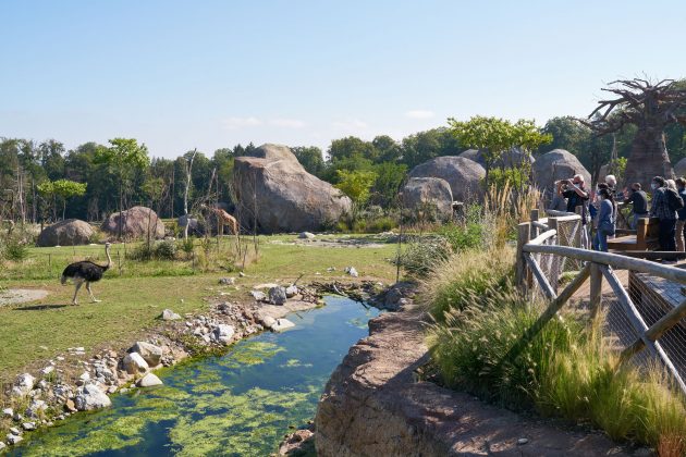 Lewa Savanne, Zoo Zurich by vetschpartner