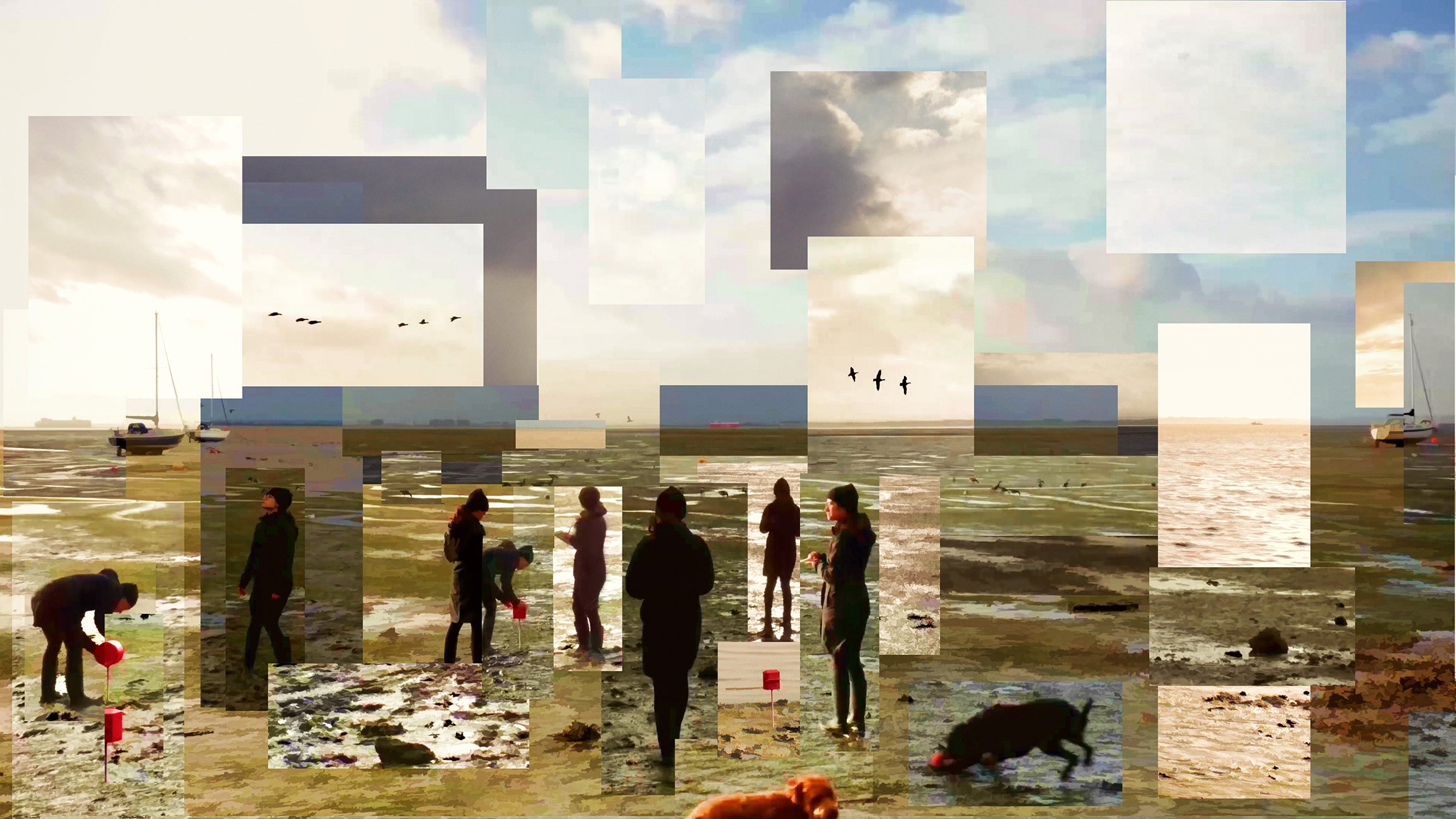 Landscape Architecture MLA