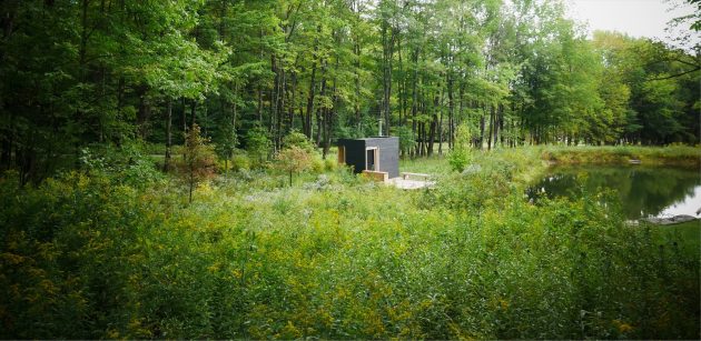 The Pond and the Meadow by Practice Landscape