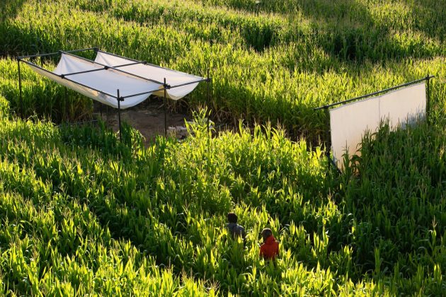 Poonehzar by Shid Architects