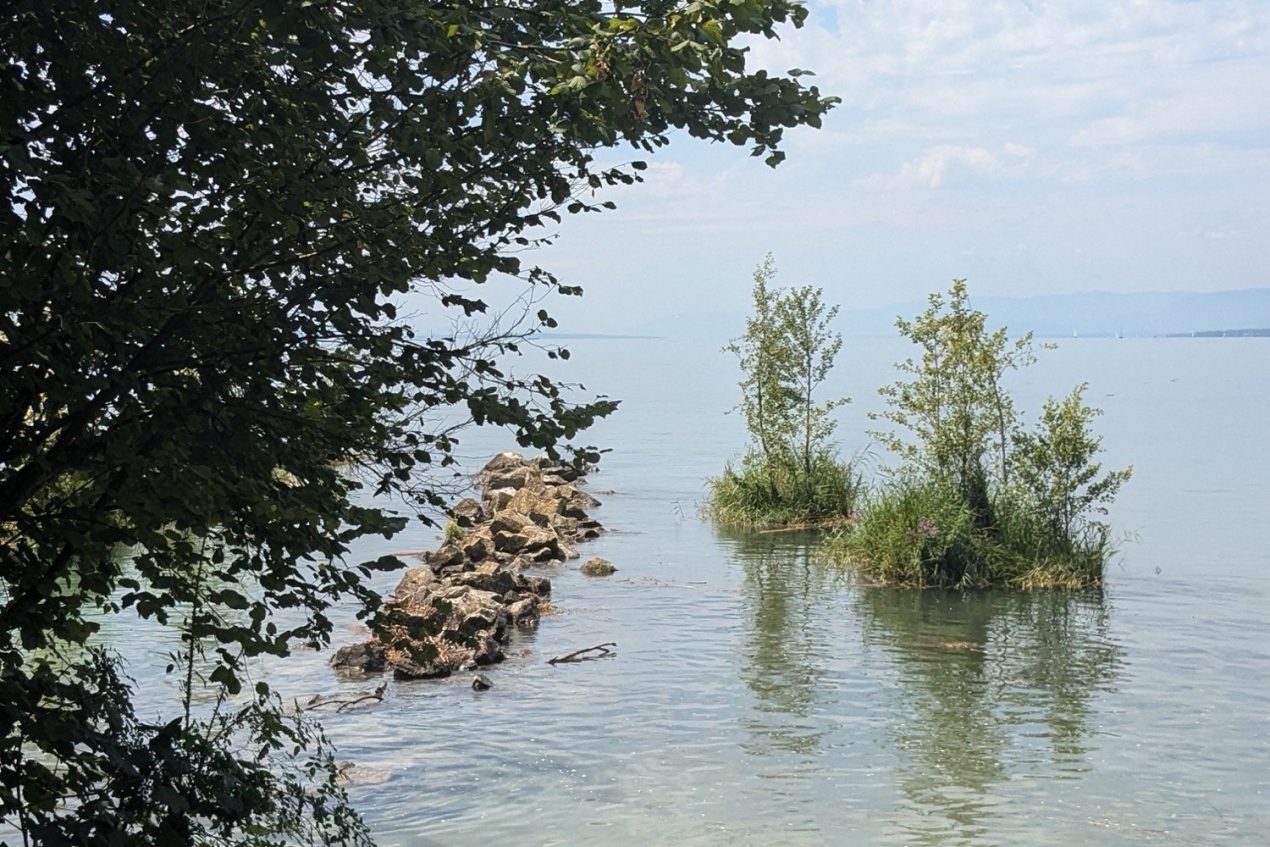 Lausanne Jardins 2024