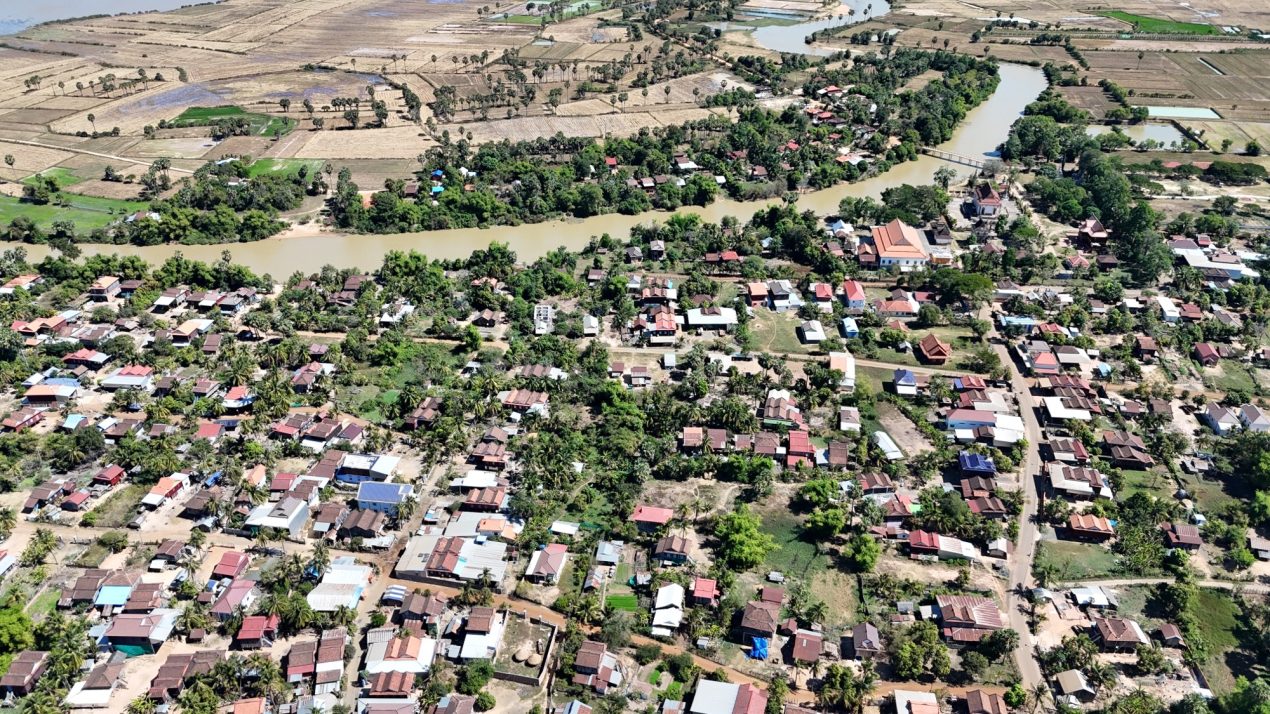 Forest Urbanisms: New Non-human and Human Ecologies for the 21st Century by Bruno De Meulder and Kelly Shannon