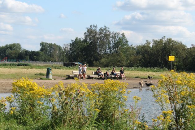 The Sustainable Reinvention of Rotterdam’s Lage Bergse Bos