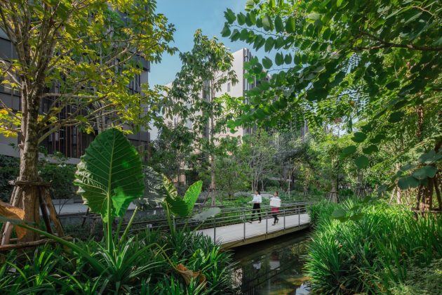 Jin Wellbeing County