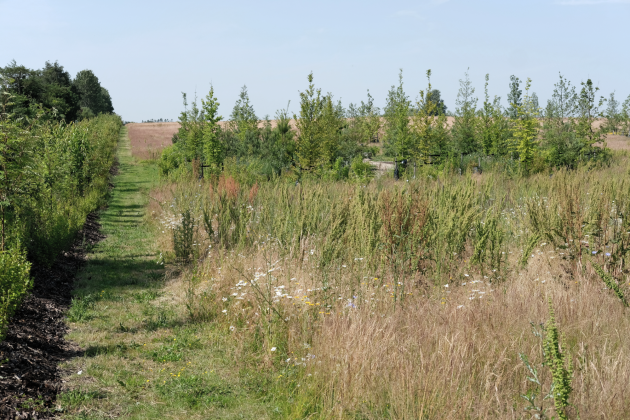 Karlslunde Park Cemetery by LYTT
